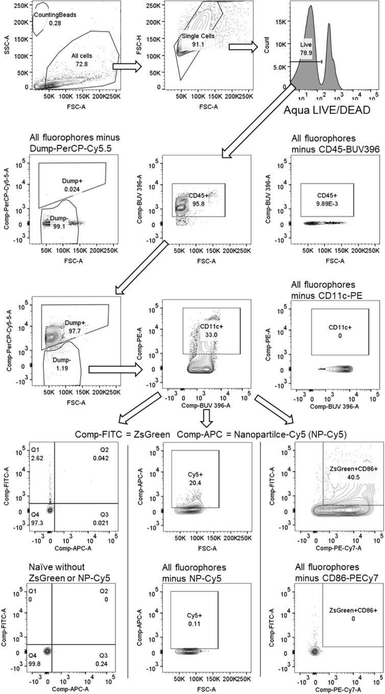 Extended Data Fig. 10