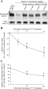 Fig. 8.