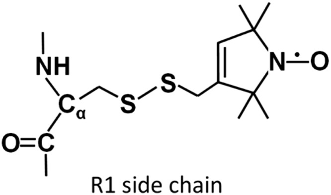 FIGURE 1.