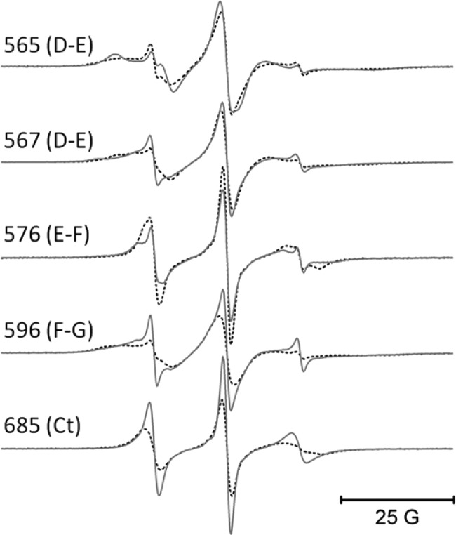 FIGURE 7.