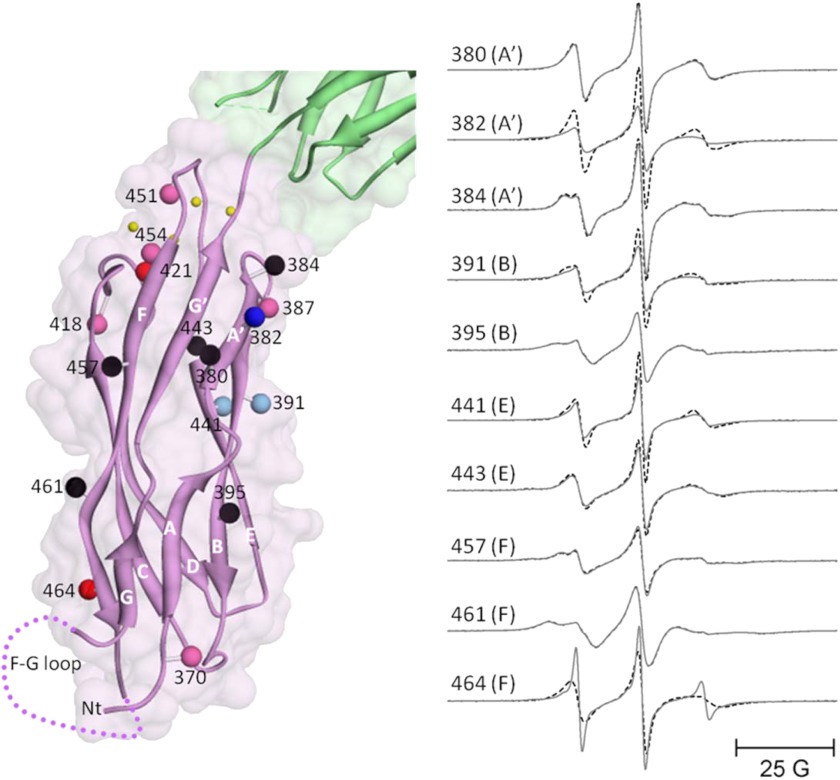 FIGURE 3.