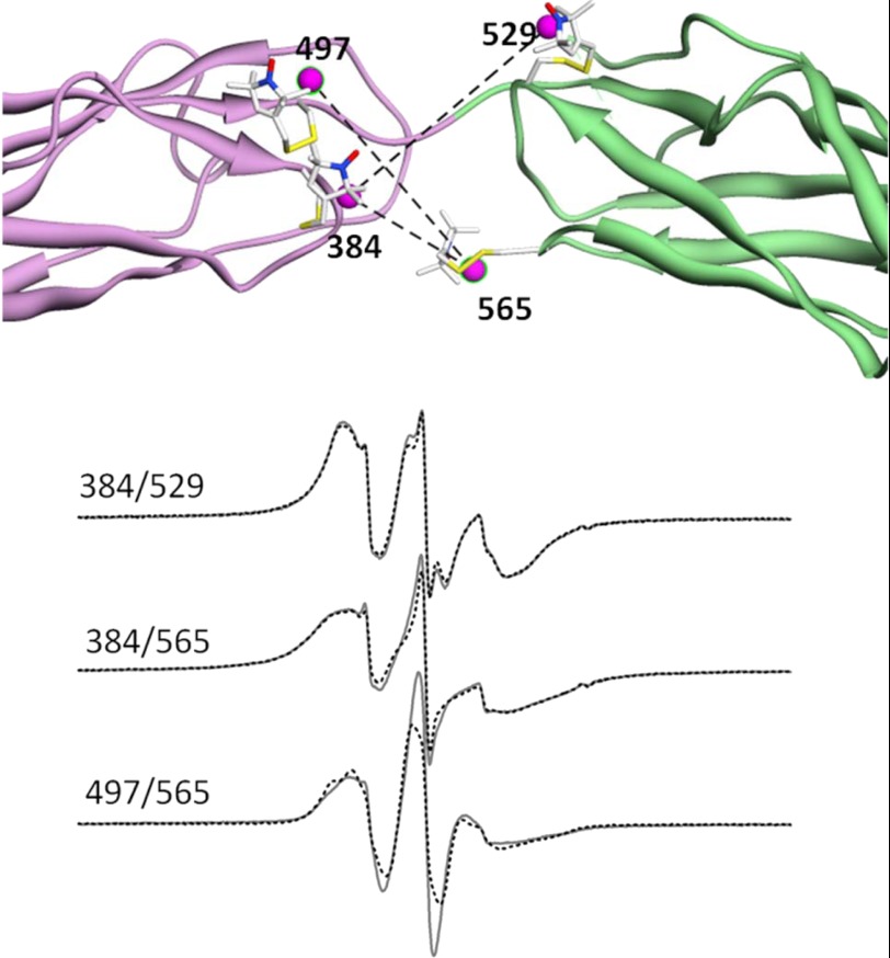 FIGURE 12.