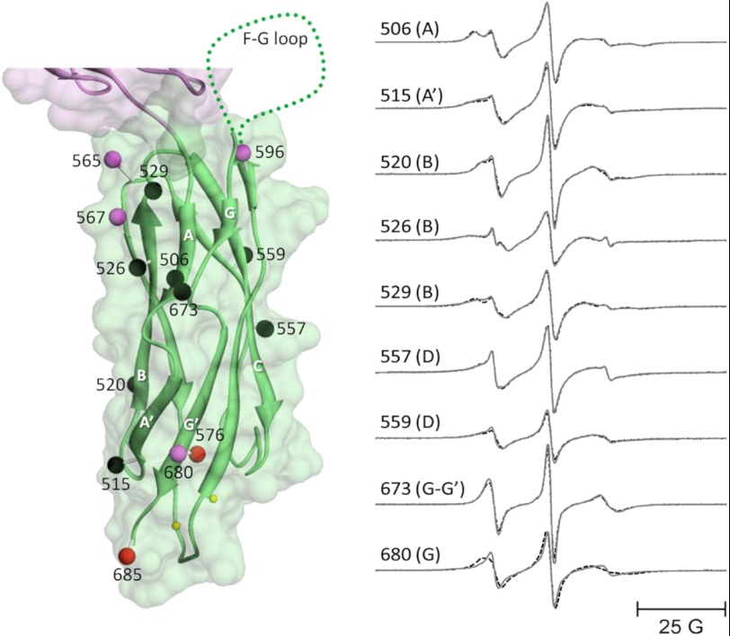 FIGURE 6.