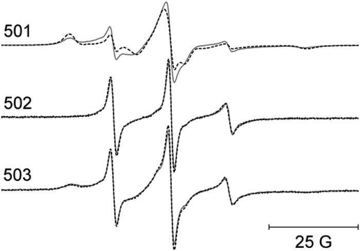 FIGURE 13.