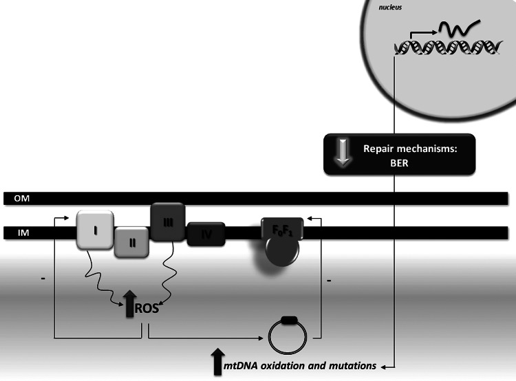 FIG. 6.