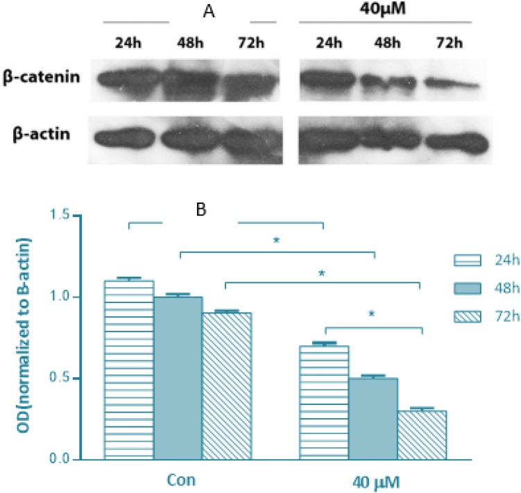 Fig 4: