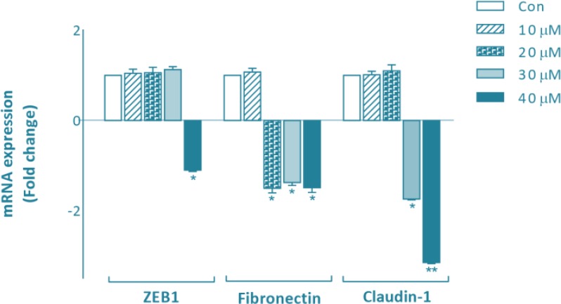 Fig. 3: