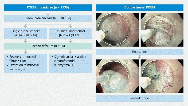Fig. 4