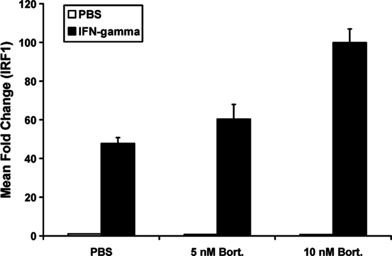 Fig. 3