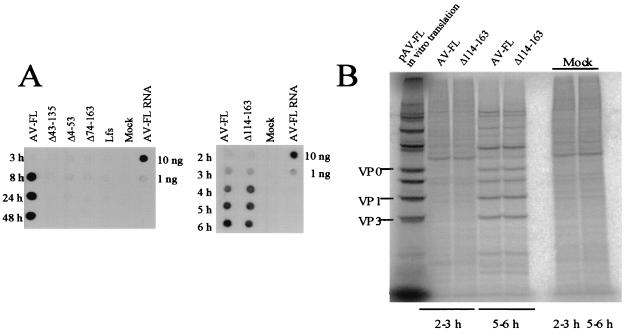 FIG. 5.