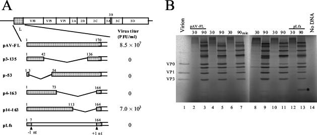 FIG. 4.