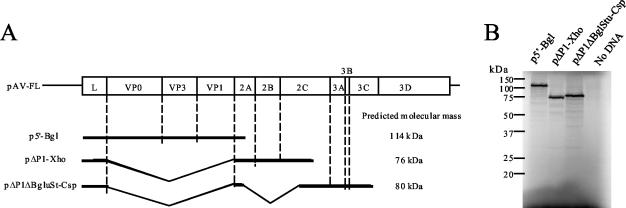 FIG. 2.