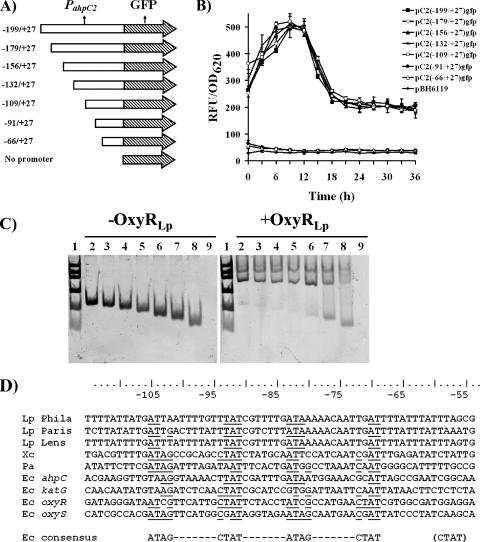 FIG. 3.