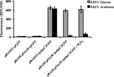 FIG. 5.