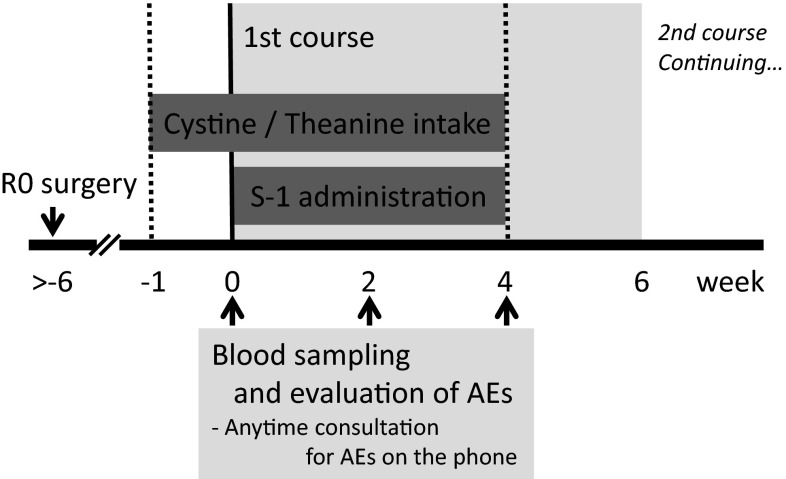 Fig. 1