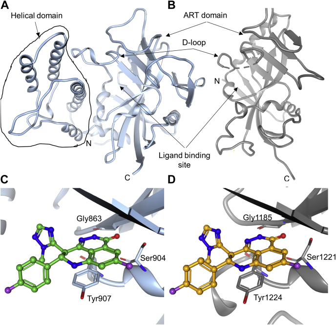 Figure 3