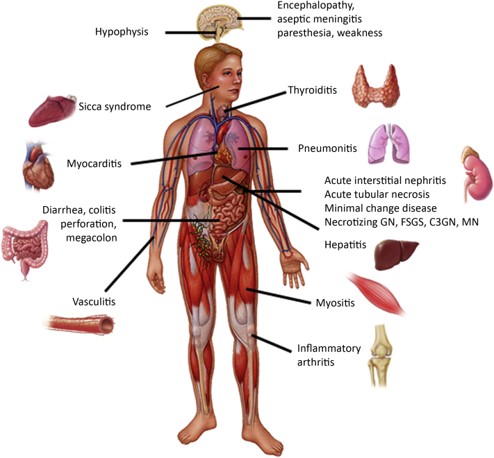 Figure 1