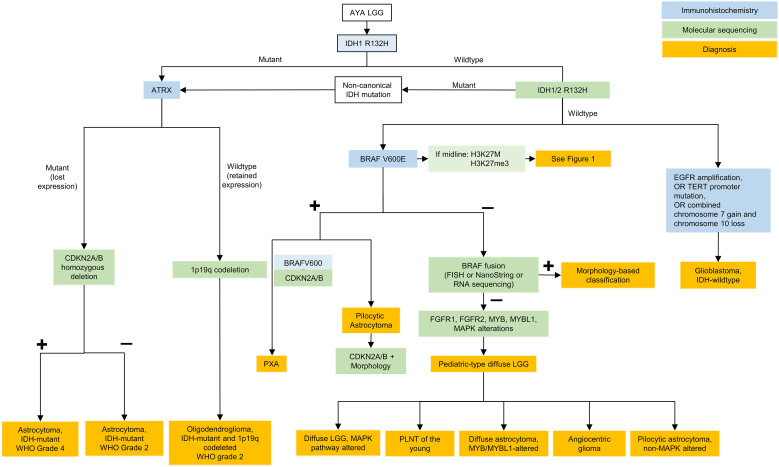 Figure 2