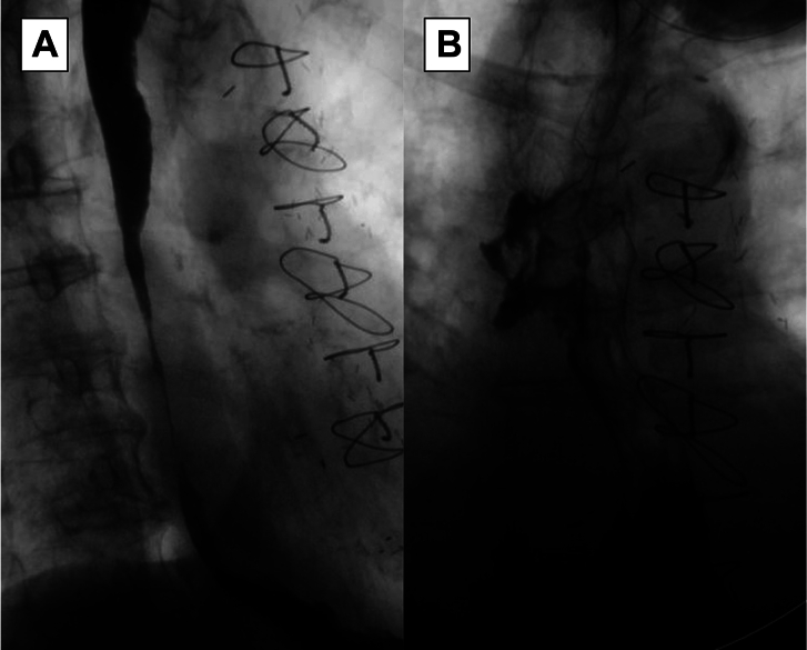 Figure 1