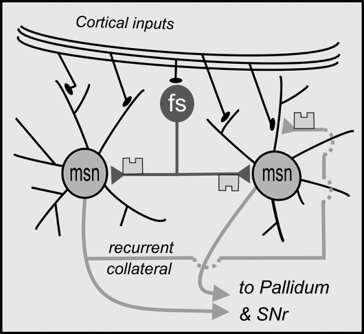 Fig. 2.