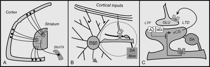 Fig. 1.