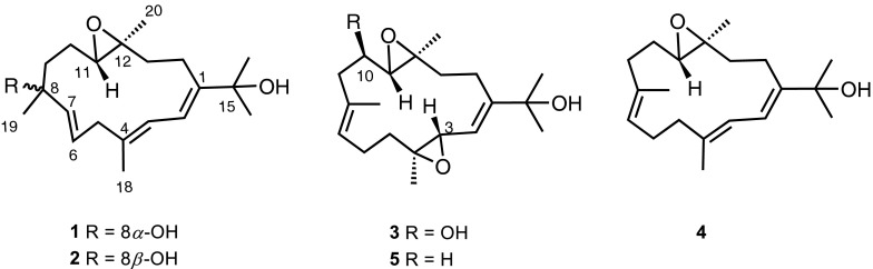 Fig. 2