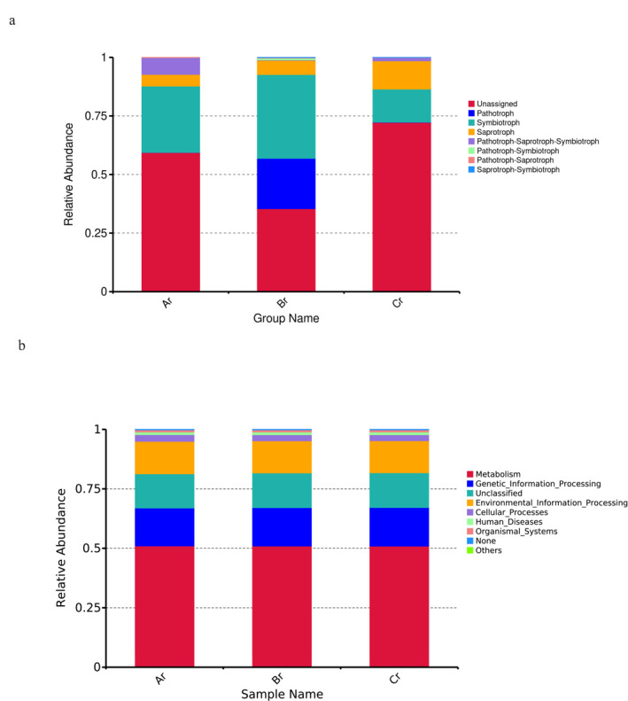 Two stacked bar charts of relative abundance across groups. Charts display ecological roles (e.g., pathotroph, symbiotroph) and functional pathways (e.g., metabolism, information processing).