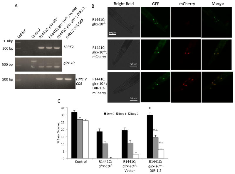 Figure 6