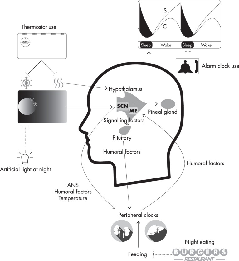 Figure 1.