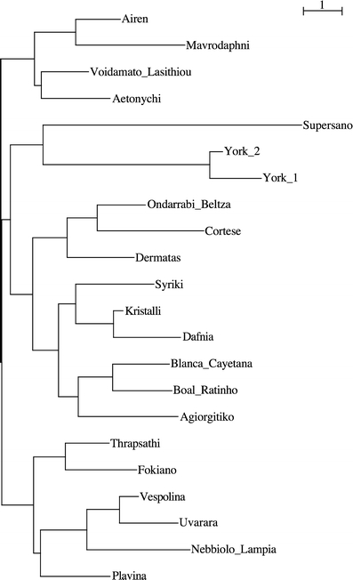 Fig. 4