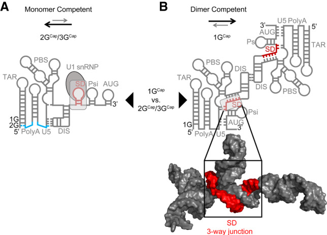 FIGURE 1.