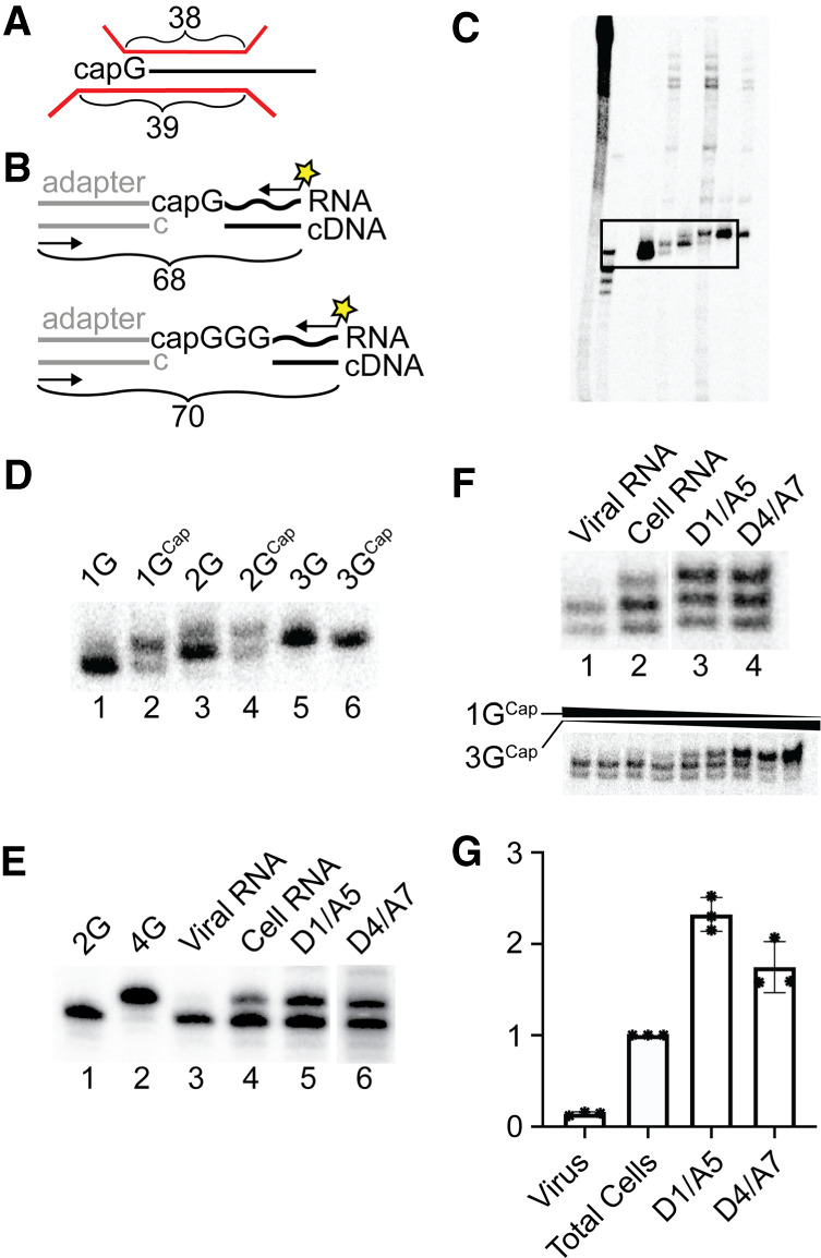 FIGURE 3.