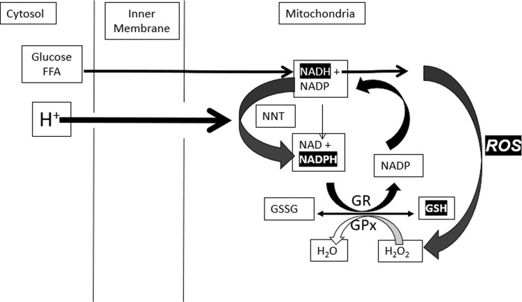 Fig. 2