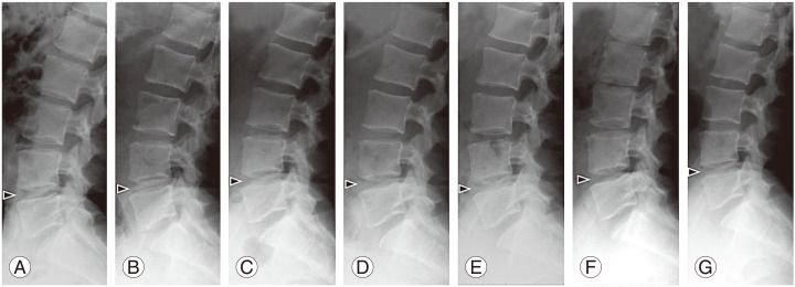 Fig. 5