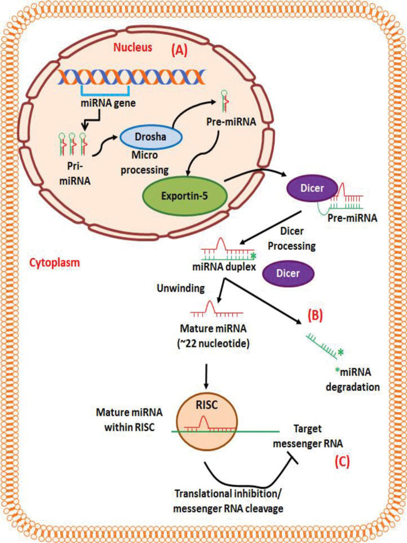 Figure 1: