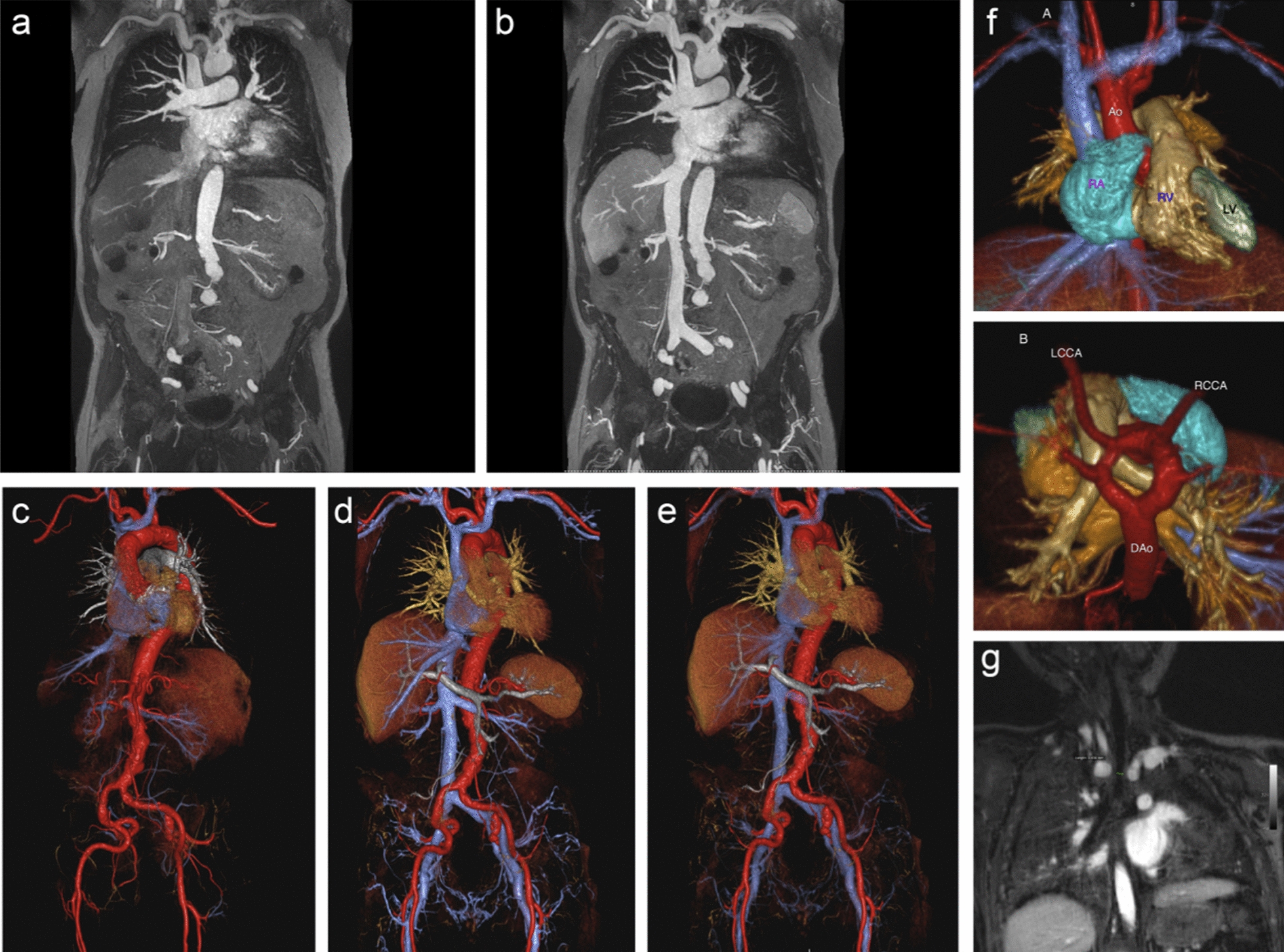 Fig. 4