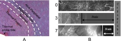 Fig. (8)