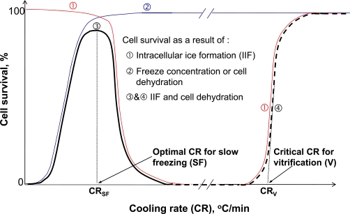 Fig. (9)