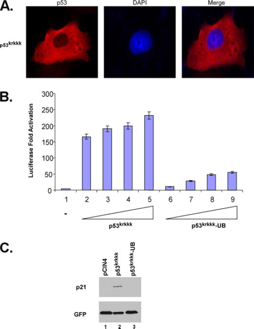 FIGURE 6