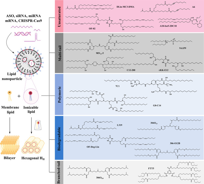 An ionizable lipid toolbox for RNA delivery - PMC