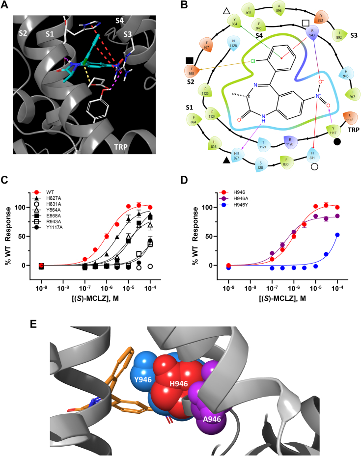 Figure 5