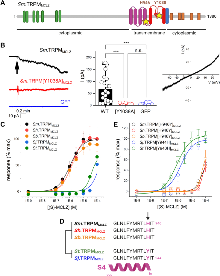 Figure 4