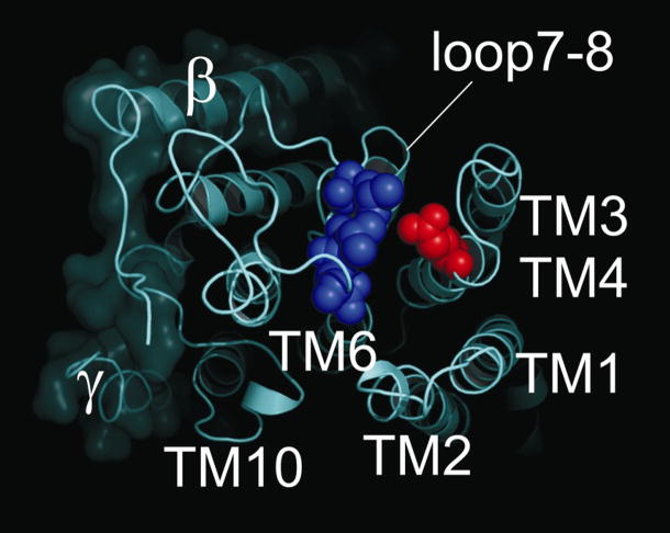 Fig. 6