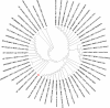 Fig 5