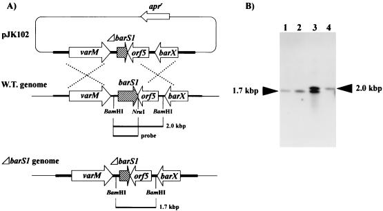 FIG. 5.