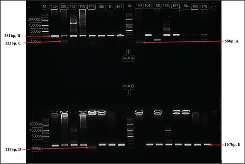 Figure 2: