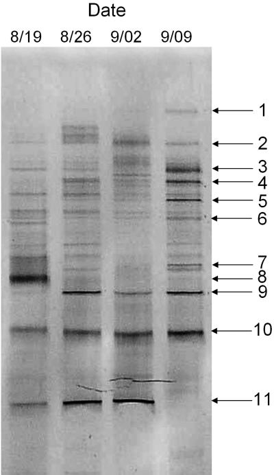 FIG. 5.