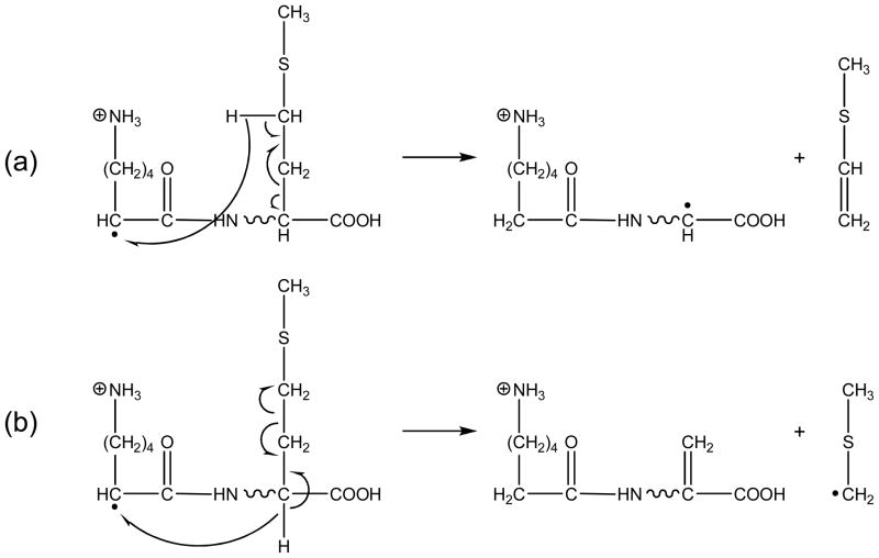 Scheme 7