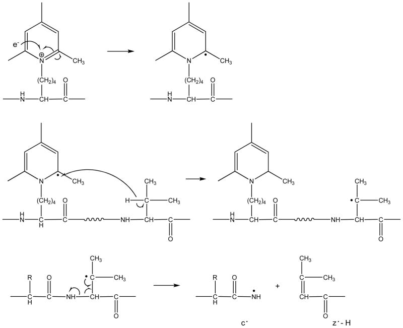 Scheme 3