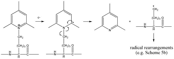 Scheme 4